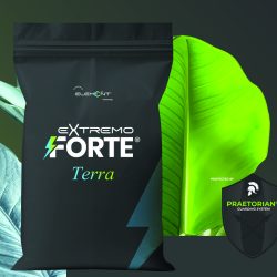 Extremo Forte Terra