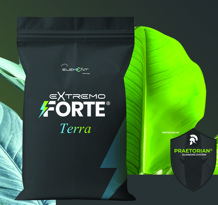 Extremo Forte Terra Extremo Forte Terra